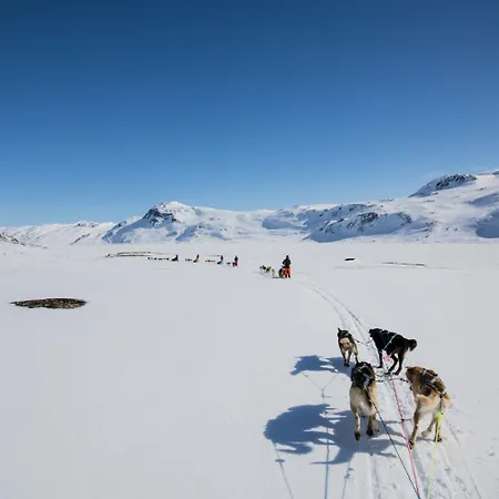 Chaleter Charming Near Jotunheimen Trails Beitostolen
